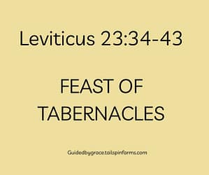 Leviticus 2334-43