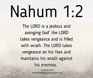 Nahum 12