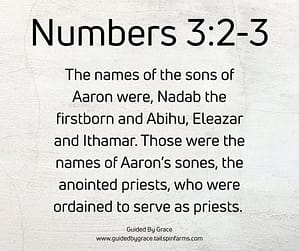 Numbers 33