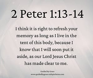 2 Peter 114