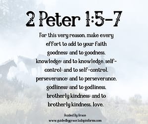 2 Peter 15-7