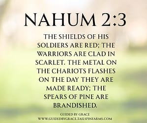 Nahum 23