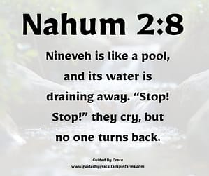 Nahum 28