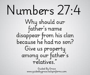 Numbers 274