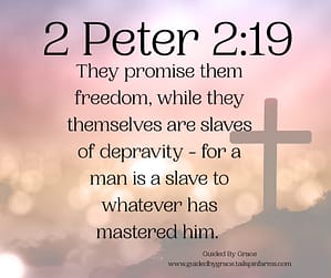2 Peter 219
