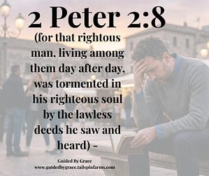 2 Peter 28