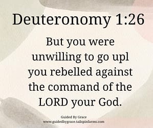 Deuteronomy 126