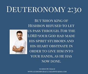 Deuteronomy 230