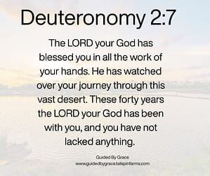 Deuteronomy 27