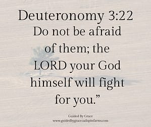 Deuteronomy 322