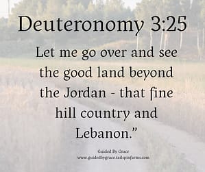 Deuteronomy 325