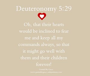 Deuteronomy 529