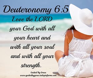 Deuteronomy 65