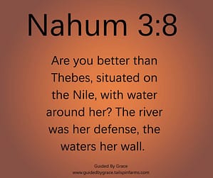 Nahum 38