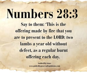 Numbers 283