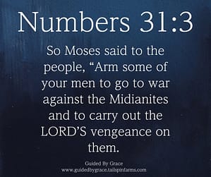 Numbers 313