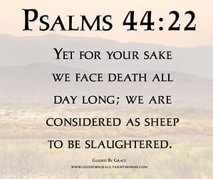 Psalms 4422