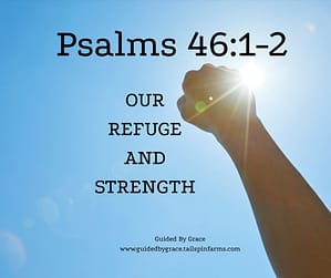 Psalms 461-2