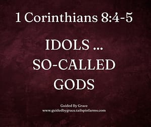 1 Corinthians 84-5