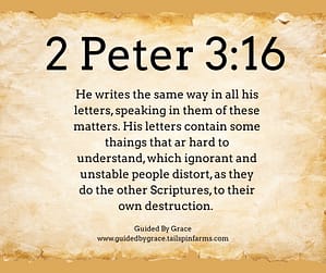 2 Peter 316