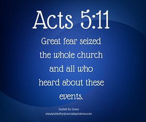 Acts 511