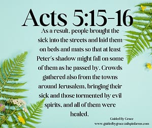 Acts 515-16