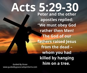 Acts 529-30