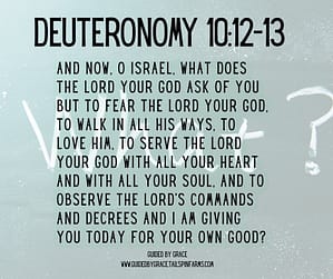 Deuteronomy 1012-13