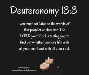 Deuteronomy 133
