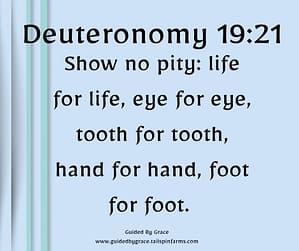 Deuteronomy 1921