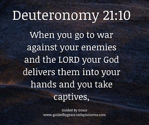 Deuteronomy 2110