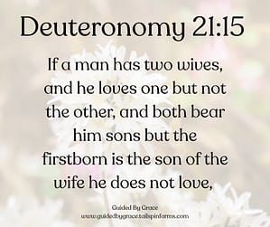 Deuteronomy 2115