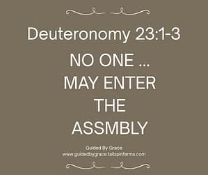 Deuteronomy 231-3
