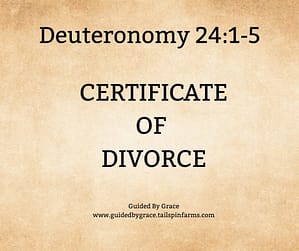 Deuteronomy 241
