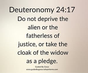 Deuteronomy 2417