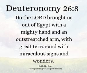 Deuteronomy 268