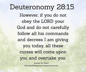 Deuteronomy 2815 (1)