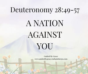 Deuteronomy 2849-57