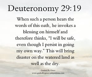 Deuteronomy 2919