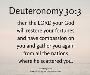 Deuteronomy 303