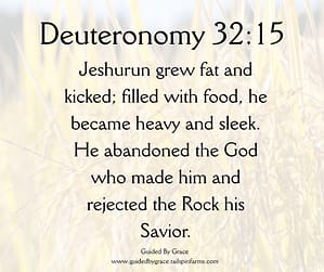 Deuteronomy 3215