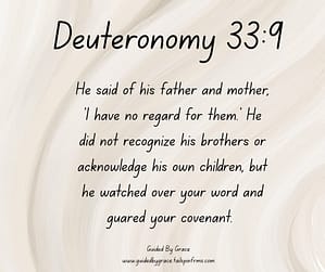 Deuteronomy 339