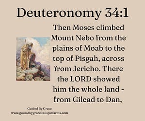 Deuteronomy 341