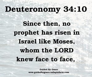 Deuteronomy 3410