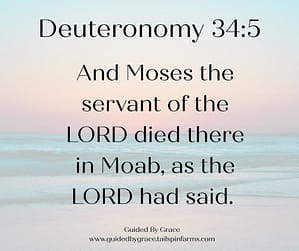 Deuteronomy 345
