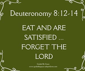 Deuteronomy 812-14