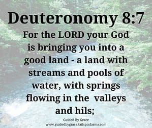 Deuteronomy 87