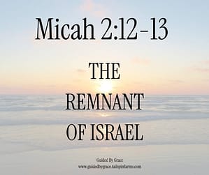 Micah 212-13