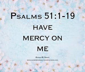 Psalms 511-19