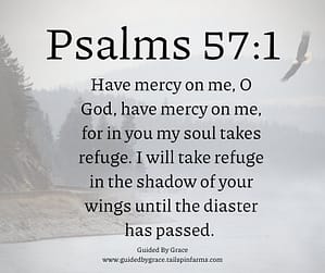 Psalms 571